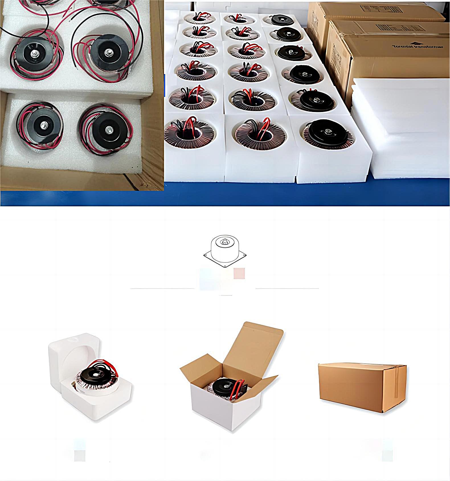 Pure Copper Step Down 100w Transformator 100va Audio Toroidal